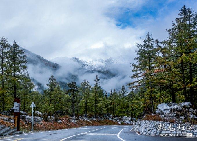 赵丽颖《第二十条》拍摄现场流露母爱，专业与暖心并存